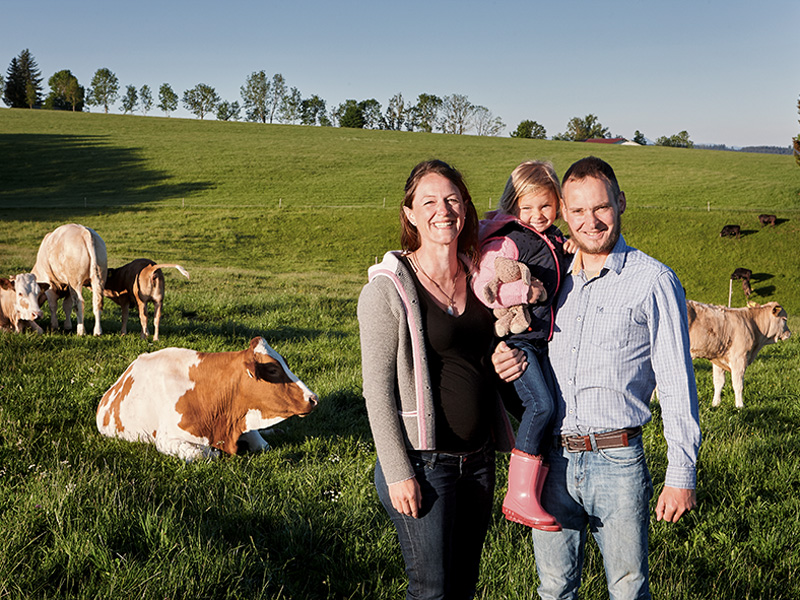 Familie mit Kühen auf wiese