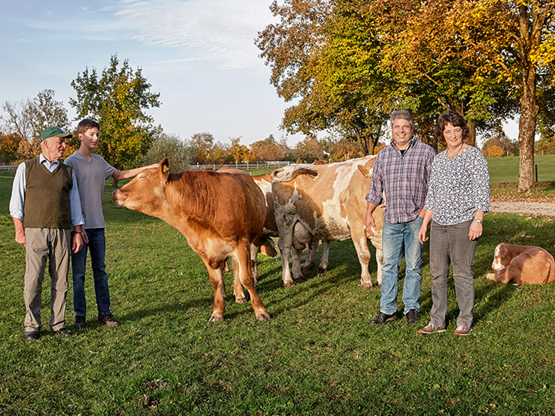 Leute mit Kühen auf wiese
