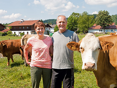 © Feneberg/Bio mit Gesicht Familie mit Kühen auf Weide