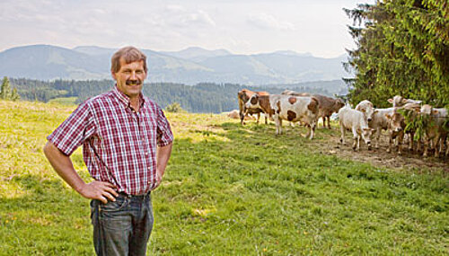 Betriebsleiter mit Rinderherde